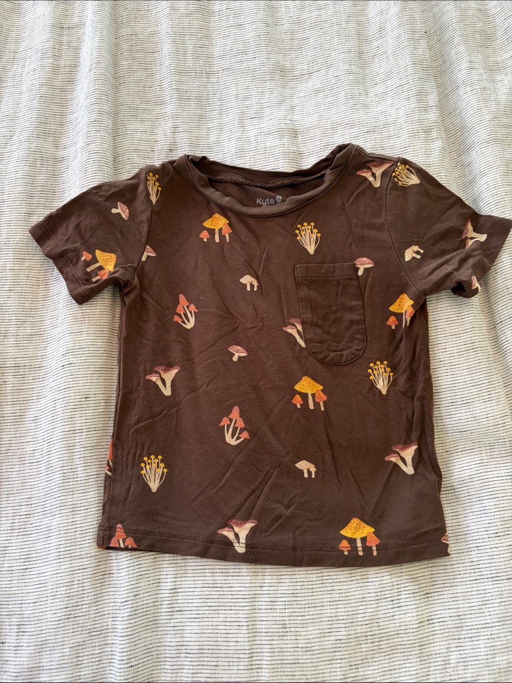 Kyte BABY Brown Tee with Cute Mushroom Print